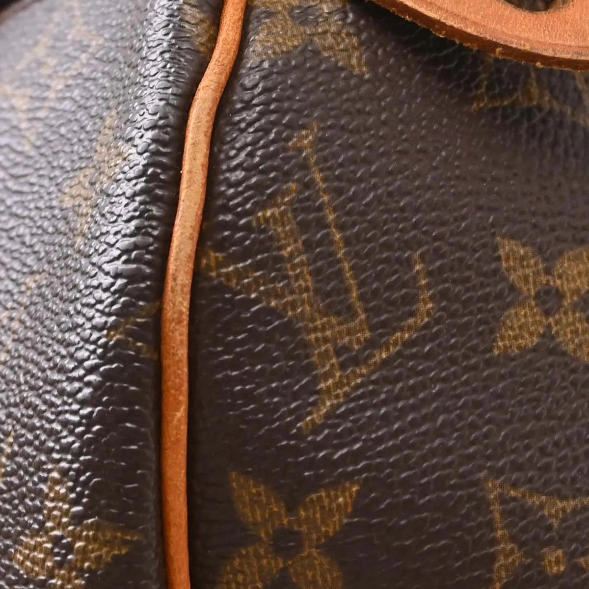 Louis Vuitton Speedy Monogram Canvas Brown Canvas Handbag (Pre-Owned)