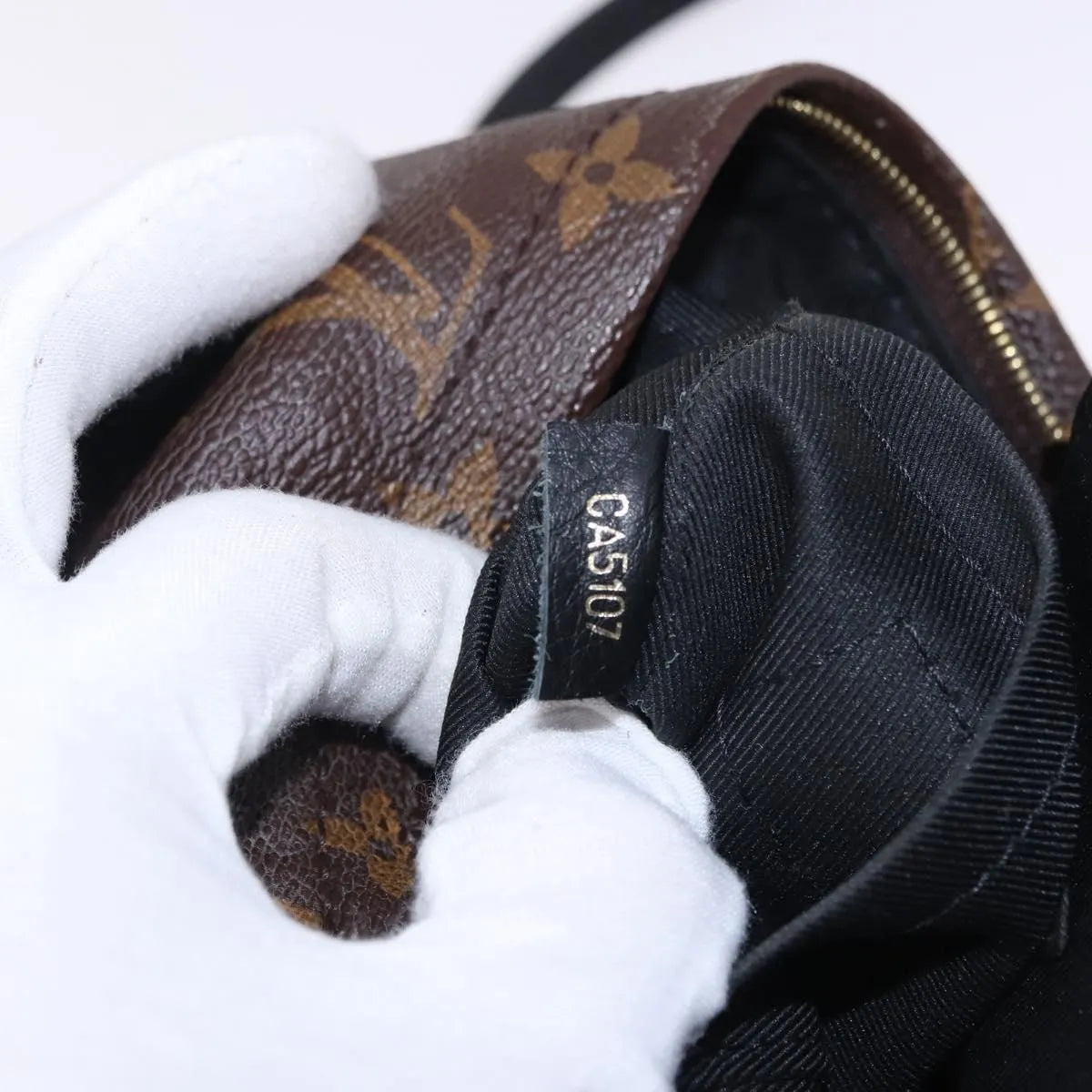Louis Vuitton Palm Springs Monogram Brown Canvas Backpack Bag (Pre-Owned)