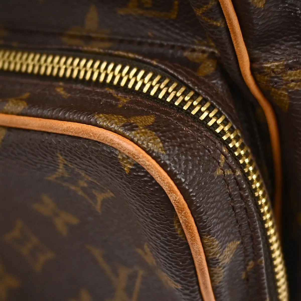 Louis Vuitton Amazone Bag Monogram Canvas Brown Canvas Shoulder Bag Bag (Pre-Owned)