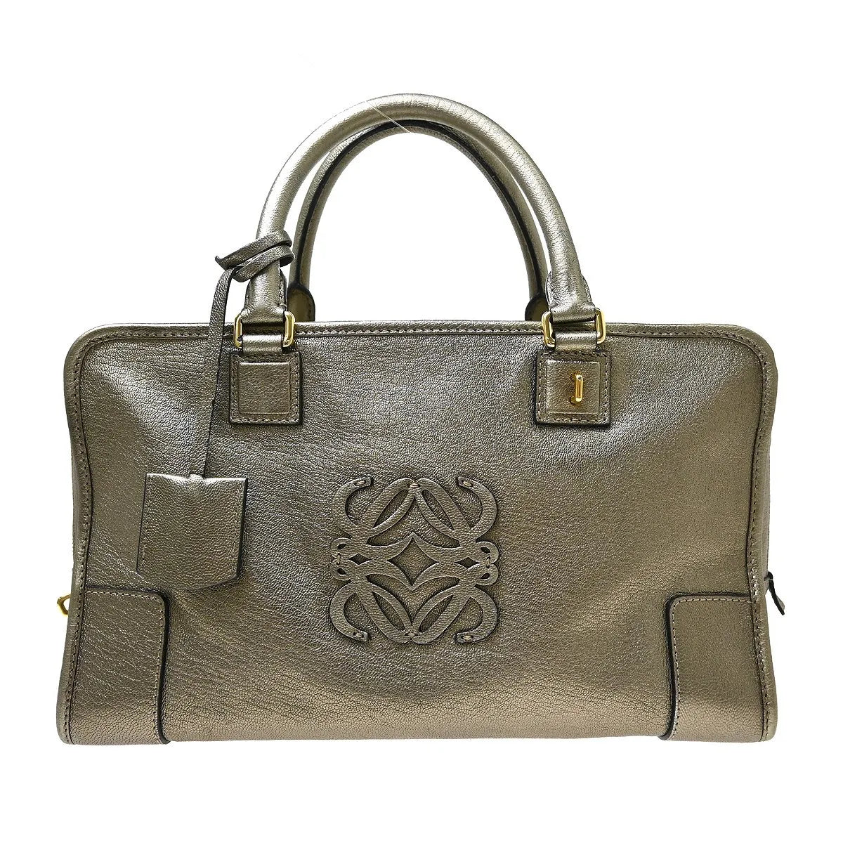 Loewe Amazona Leather Gold Leather Handbag (Pre-Owned)