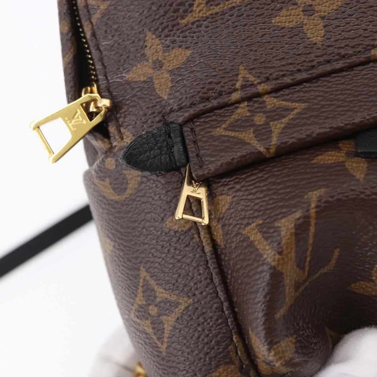 Louis Vuitton Palm Springs Monogram Brown Canvas Backpack Bag (Pre-Owned)