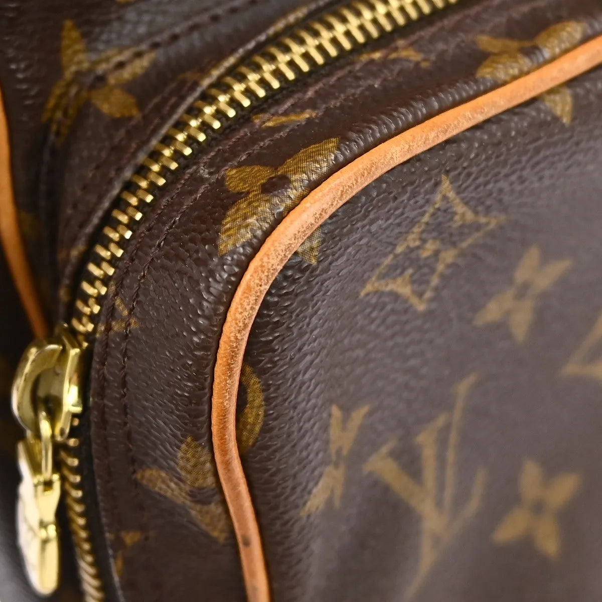 Louis Vuitton Amazone Bag Monogram Canvas Brown Canvas Shoulder Bag Bag (Pre-Owned)