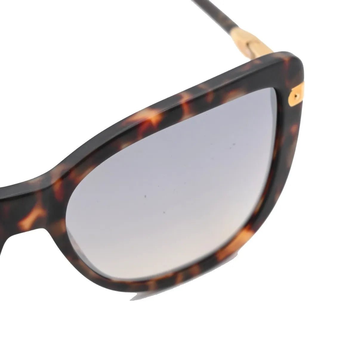 Louis Vuitton Charlotte Plastic Brown Plastic Sunglasse Accessory (Pre-Owned)