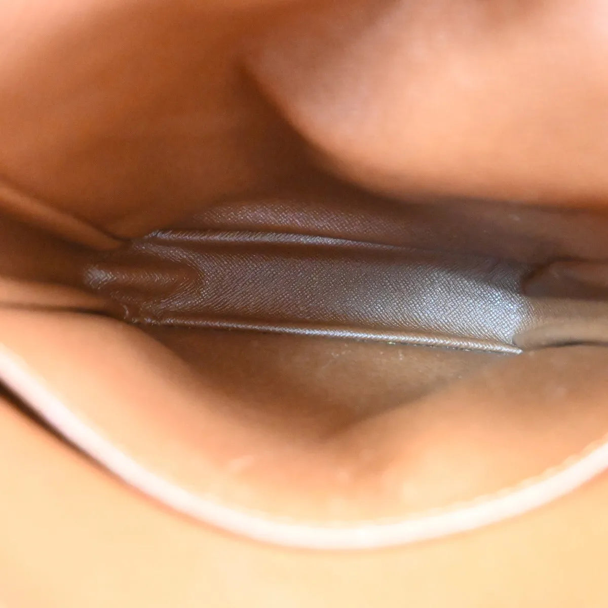 Louis Vuitton Amazone Monogram Brown Canvas Shoulder Bag Bag (Pre-Owned)