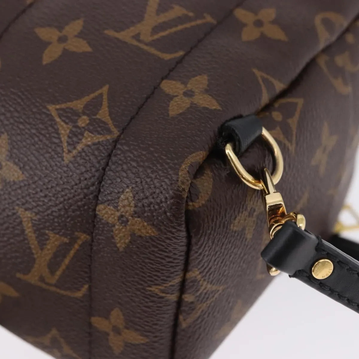 Louis Vuitton Palm Springs Monogram Brown Canvas Backpack Bag (Pre-Owned)