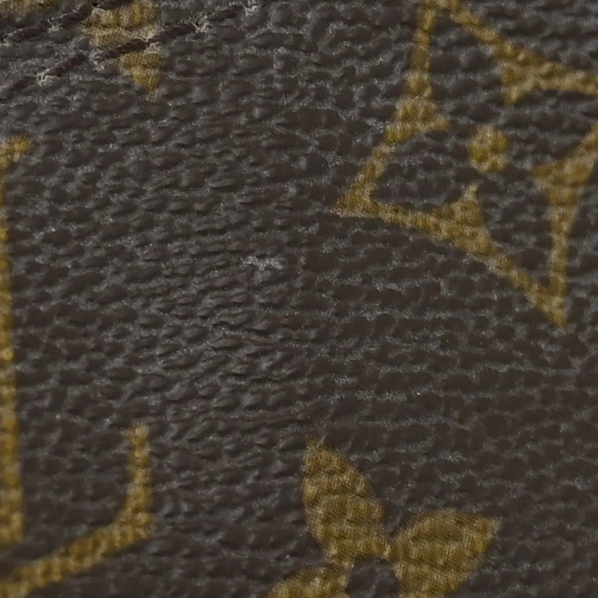 Louis Vuitton Papillon Pochette Monogram Canvas Brown Canvas Clutche & Pouche Bag (Pre-Owned)