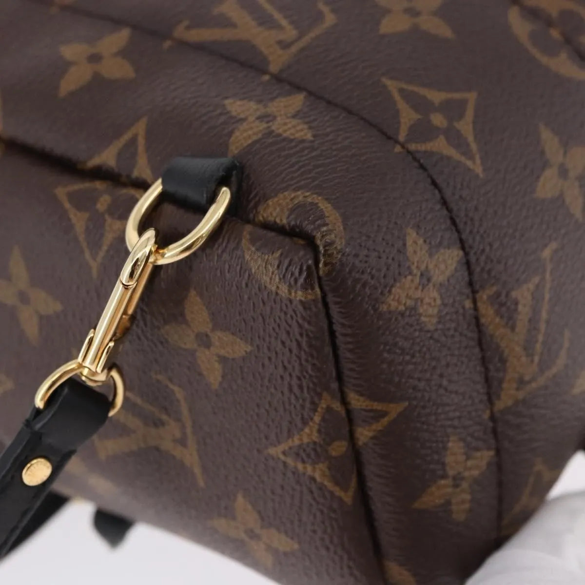 Louis Vuitton Palm Springs Monogram Brown Canvas Backpack Bag (Pre-Owned)