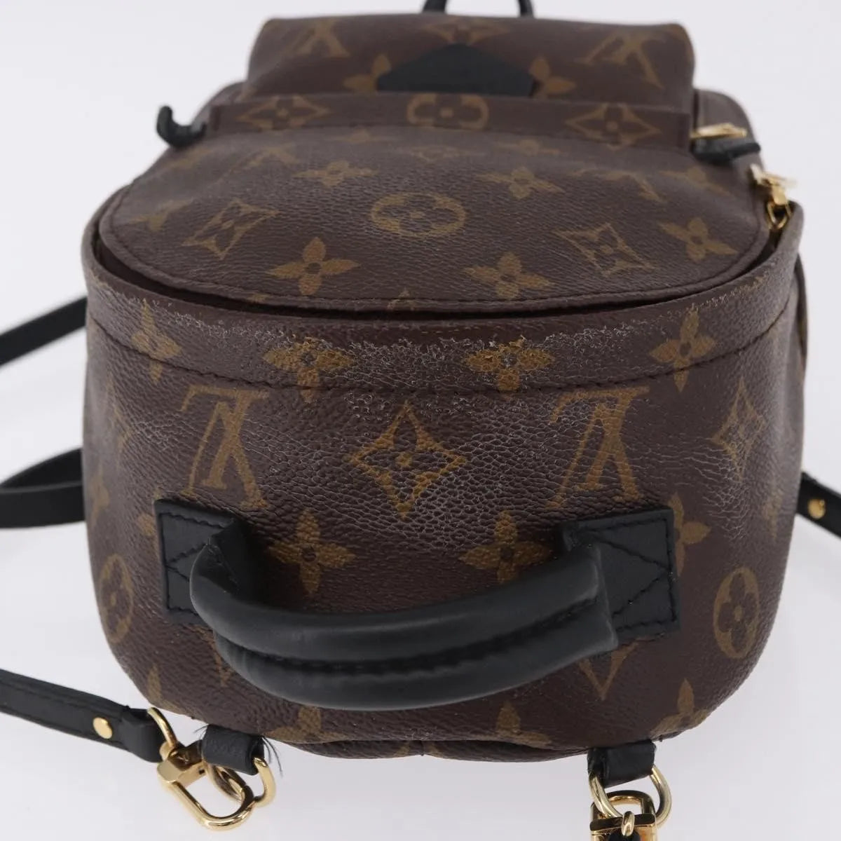 Louis Vuitton Palm Springs Monogram Brown Canvas Backpack Bag (Pre-Owned)