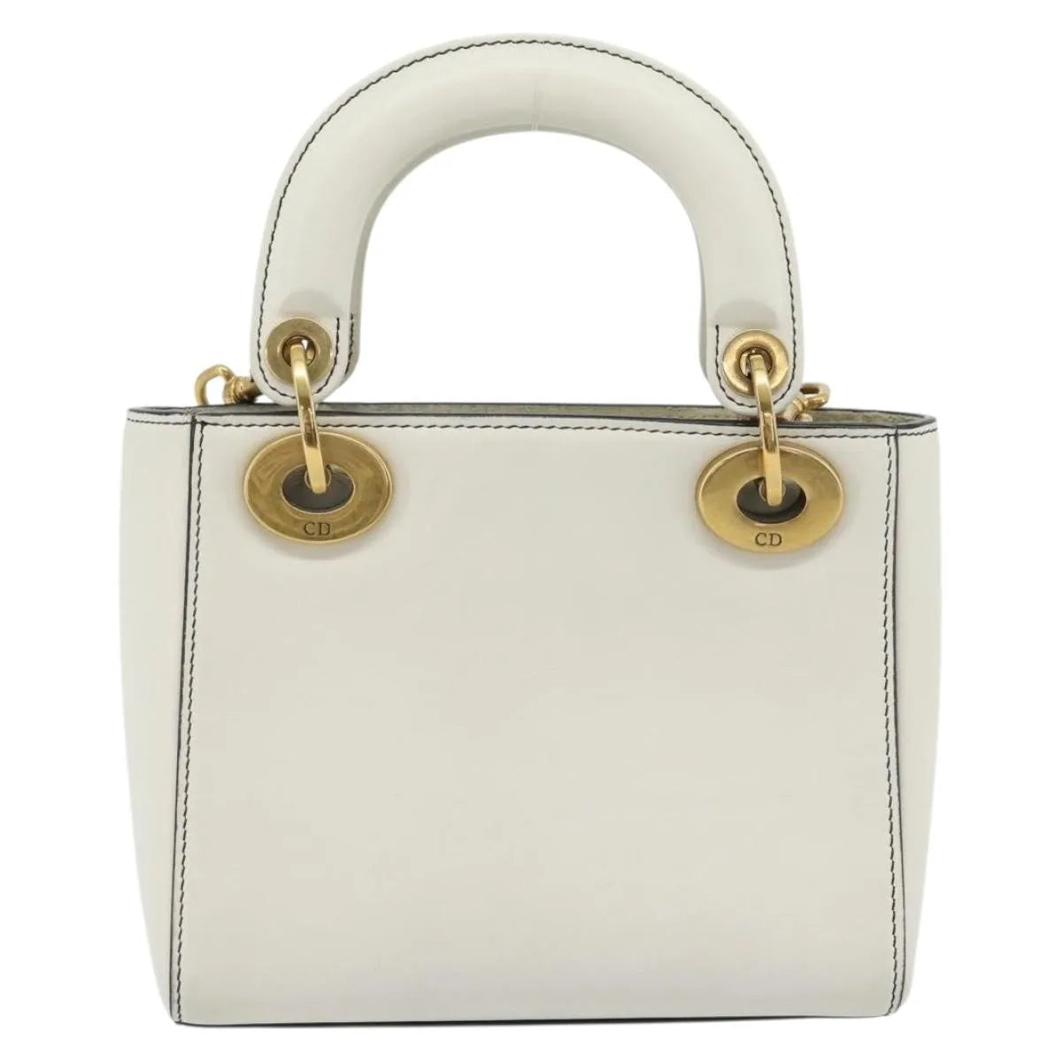 Christian Dior Lady Dior Leather Multicolour Leather Handbag (Pre-Owned)