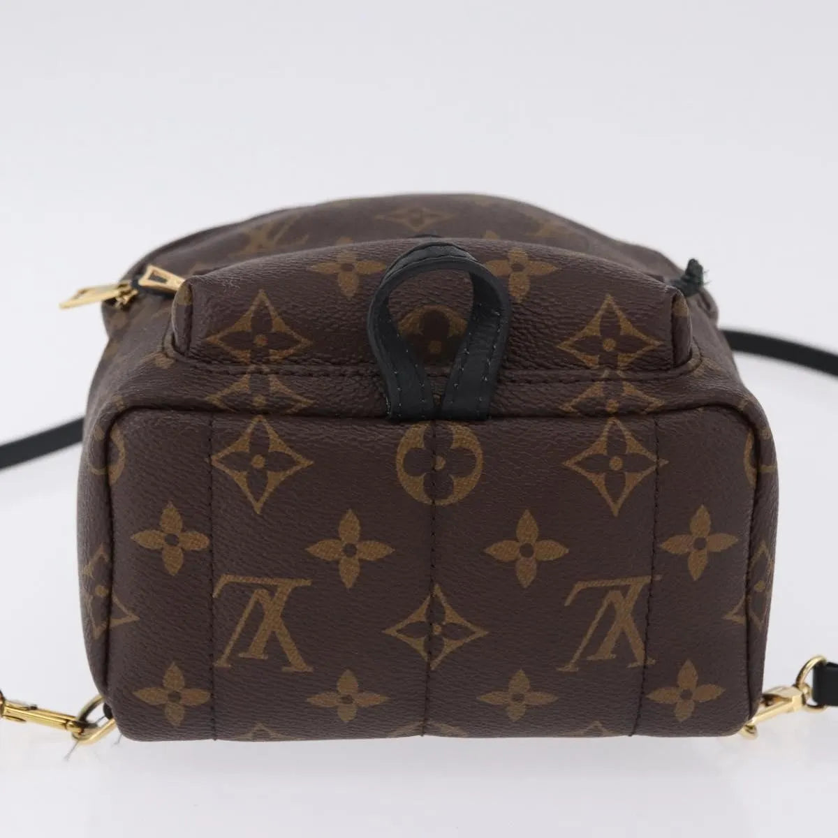 Louis Vuitton Palm Springs Monogram Brown Canvas Backpack Bag (Pre-Owned)