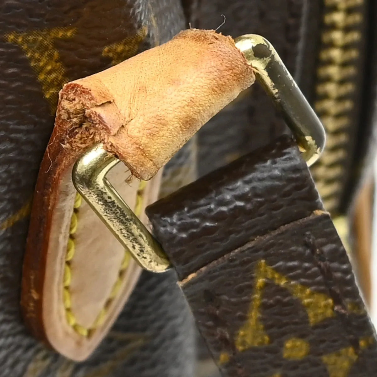 Louis Vuitton Amazone Monogram Canvas Brown Canvas Shoulder Bag Bag (Pre-Owned)