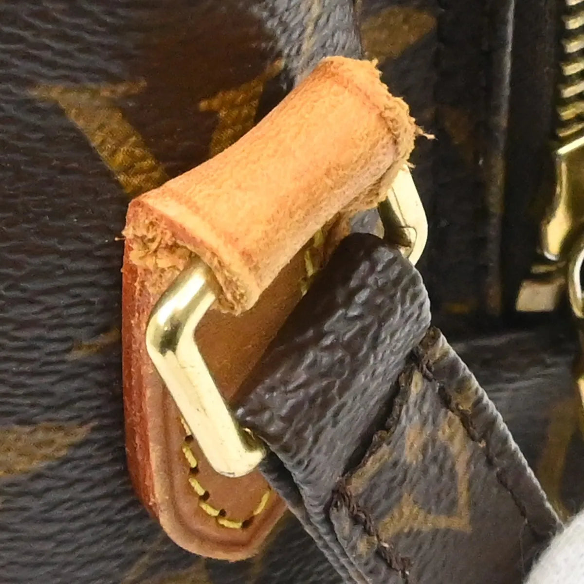 Louis Vuitton Amazone Monogram Canvas Brown Canvas Shoulder Bag Bag (Pre-Owned)