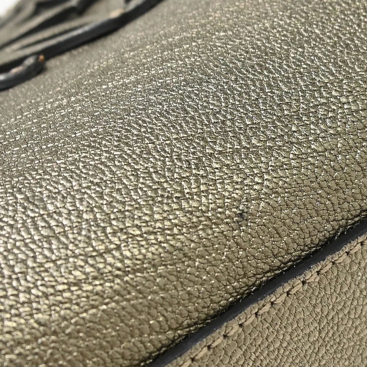 Loewe Amazona Leather Gold Leather Handbag (Pre-Owned)