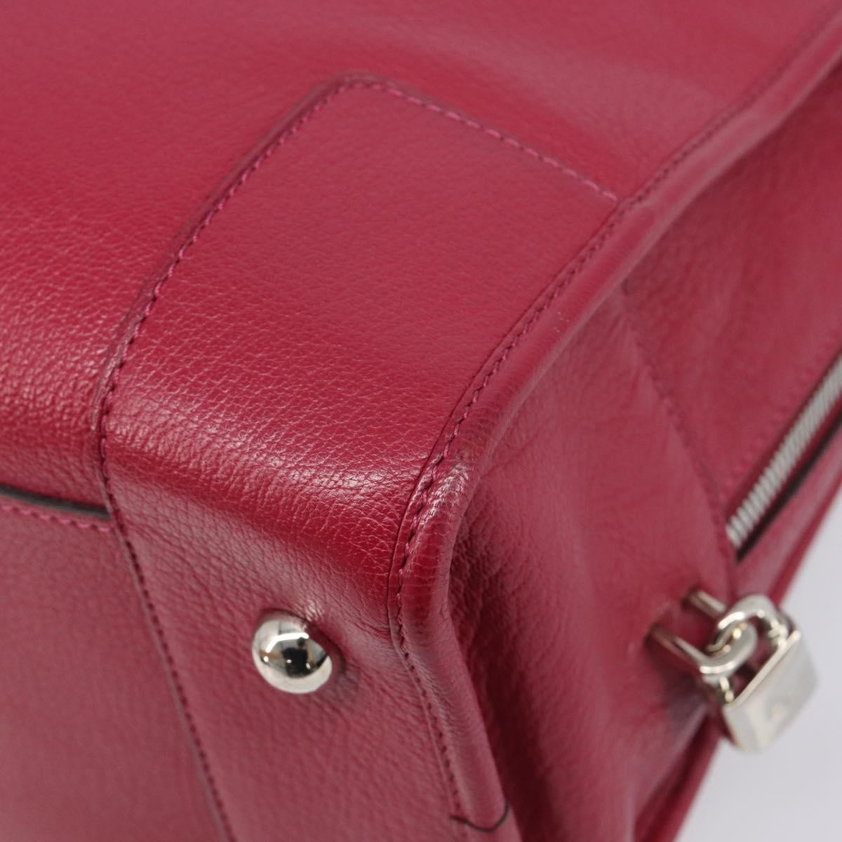 Loewe Amazona Leather Red Leather Handbag (Pre-Owned)