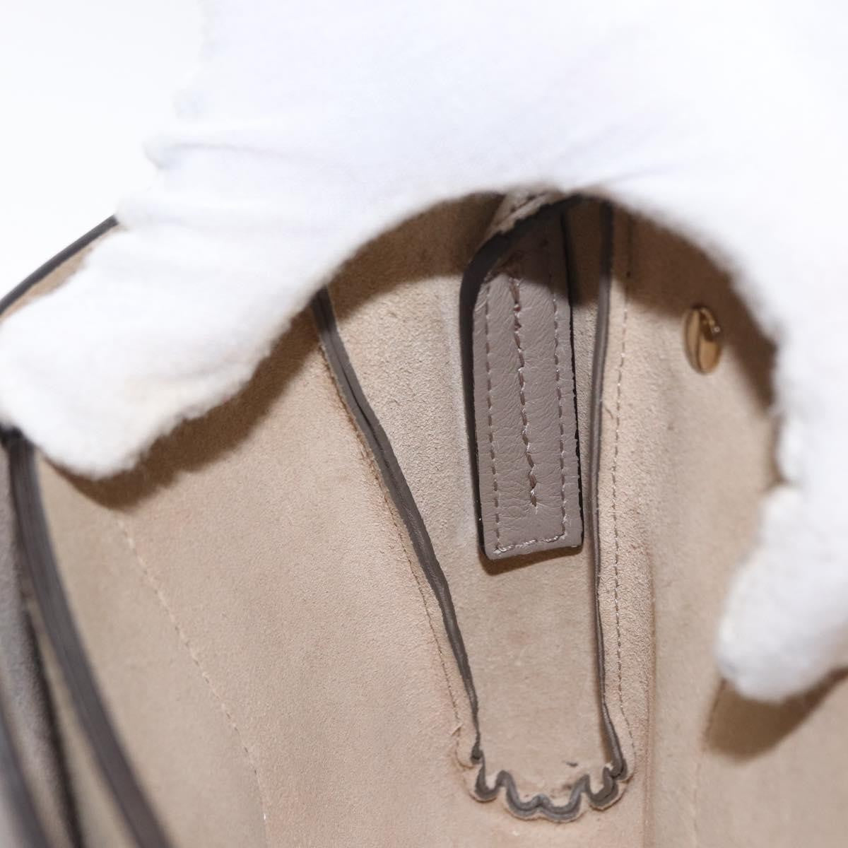 Chloe Faye Leather Beige Suede Shoulder Bag Bag (Pre-Owned)