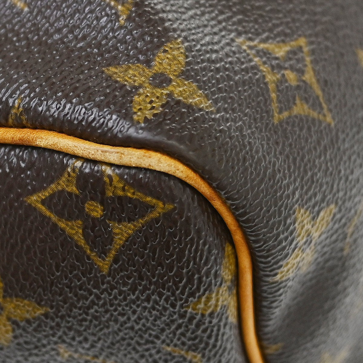 Louis Vuitton Speedy Monogram Canvas Brown Canvas Handbag (Pre-Owned)