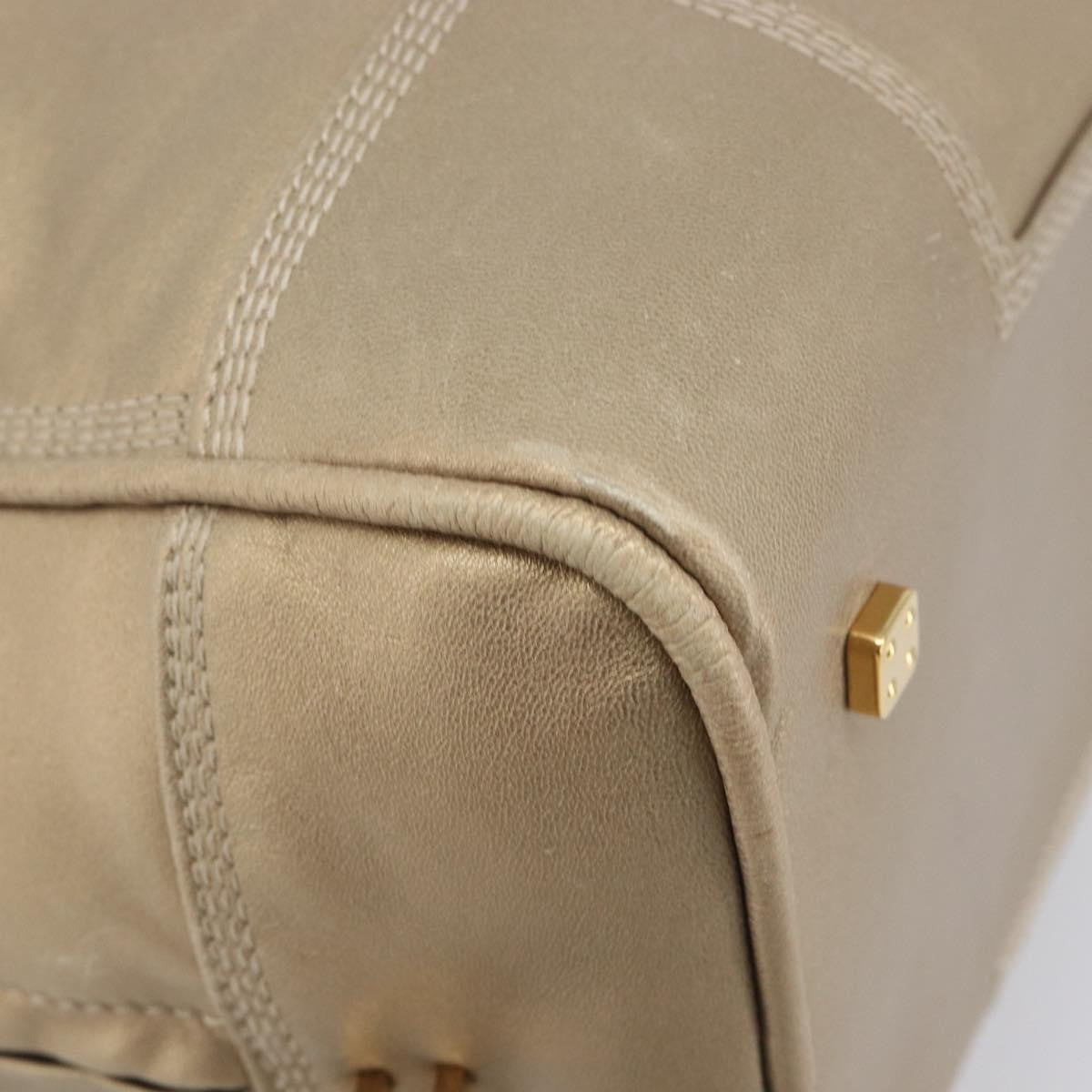 Loewe Amazona Leather Gold Leather Handbag (Pre-Owned)