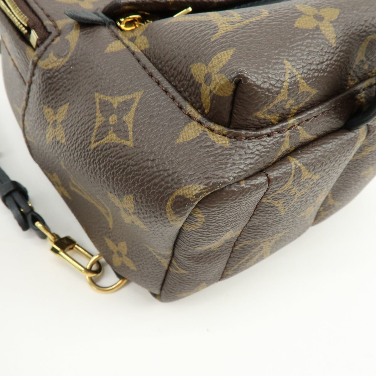 Louis Vuitton Palm Springs Monogram Canvas Brown Canvas Backpack Bag (Pre-Owned)
