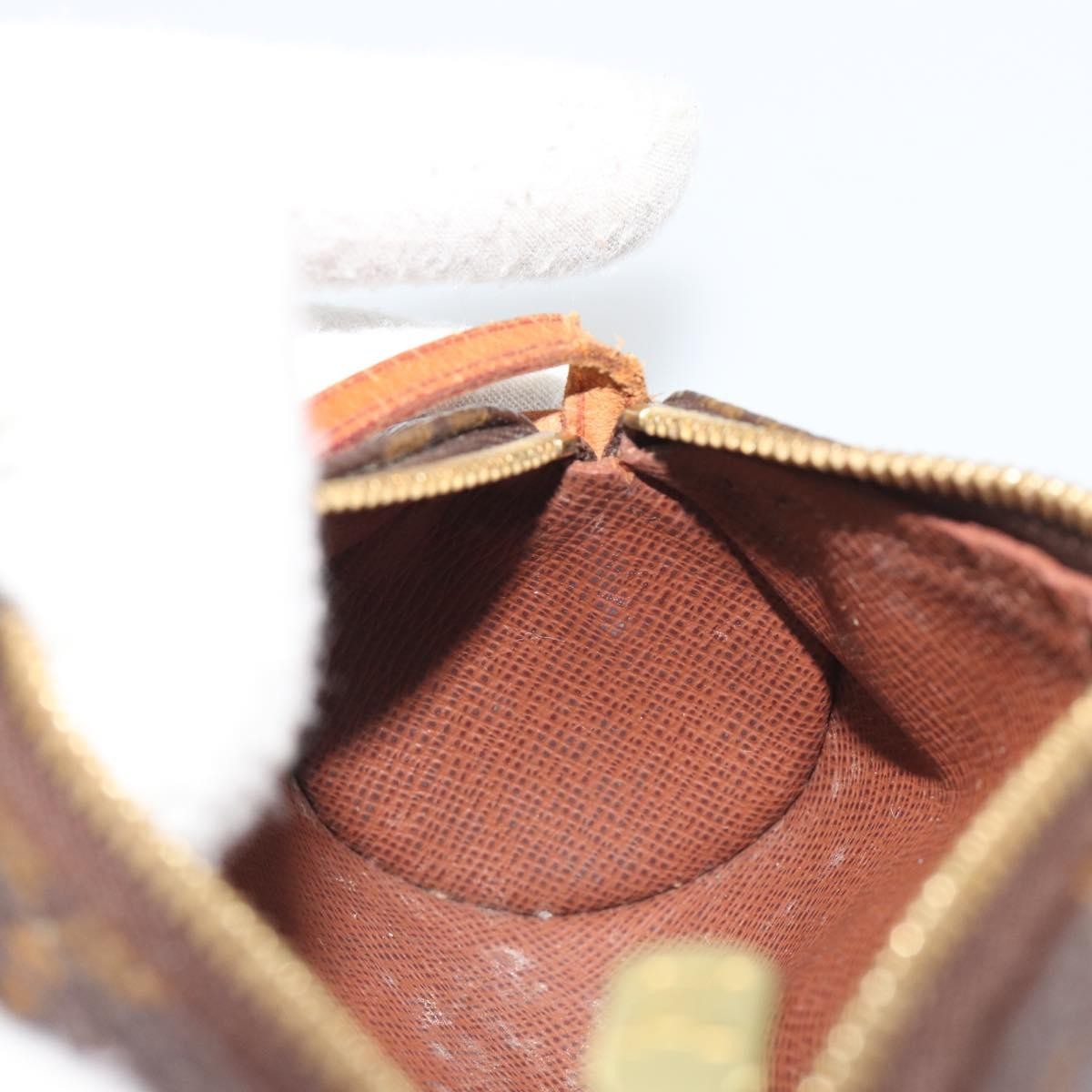 Louis Vuitton Papillon Pochette Monogram Canvas Brown Canvas Clutche & Pouche Bag (Pre-Owned)