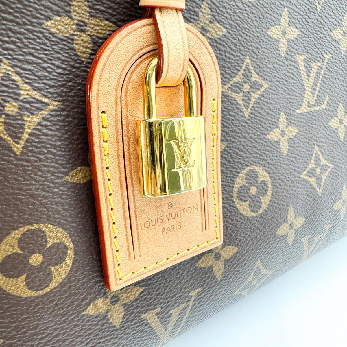 Louis Vuitton Petit Palais Monogram Canvas Brown Canvas Handbag (Pre-Owned)