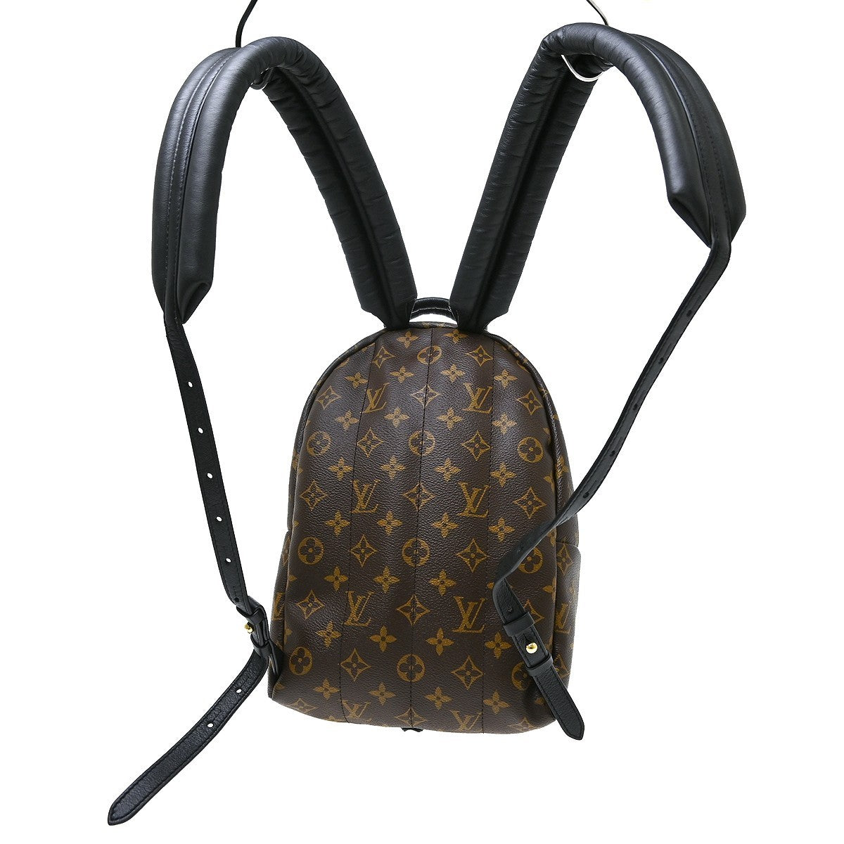 Louis Vuitton Palm Springs Monogram Brown Canvas Backpack Bag (Pre-Owned)