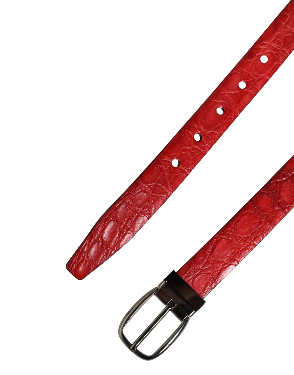 Dolce & Gabbana Men Red Exotic Leather Metal Buckle Men's Belt (Pre-Owned)