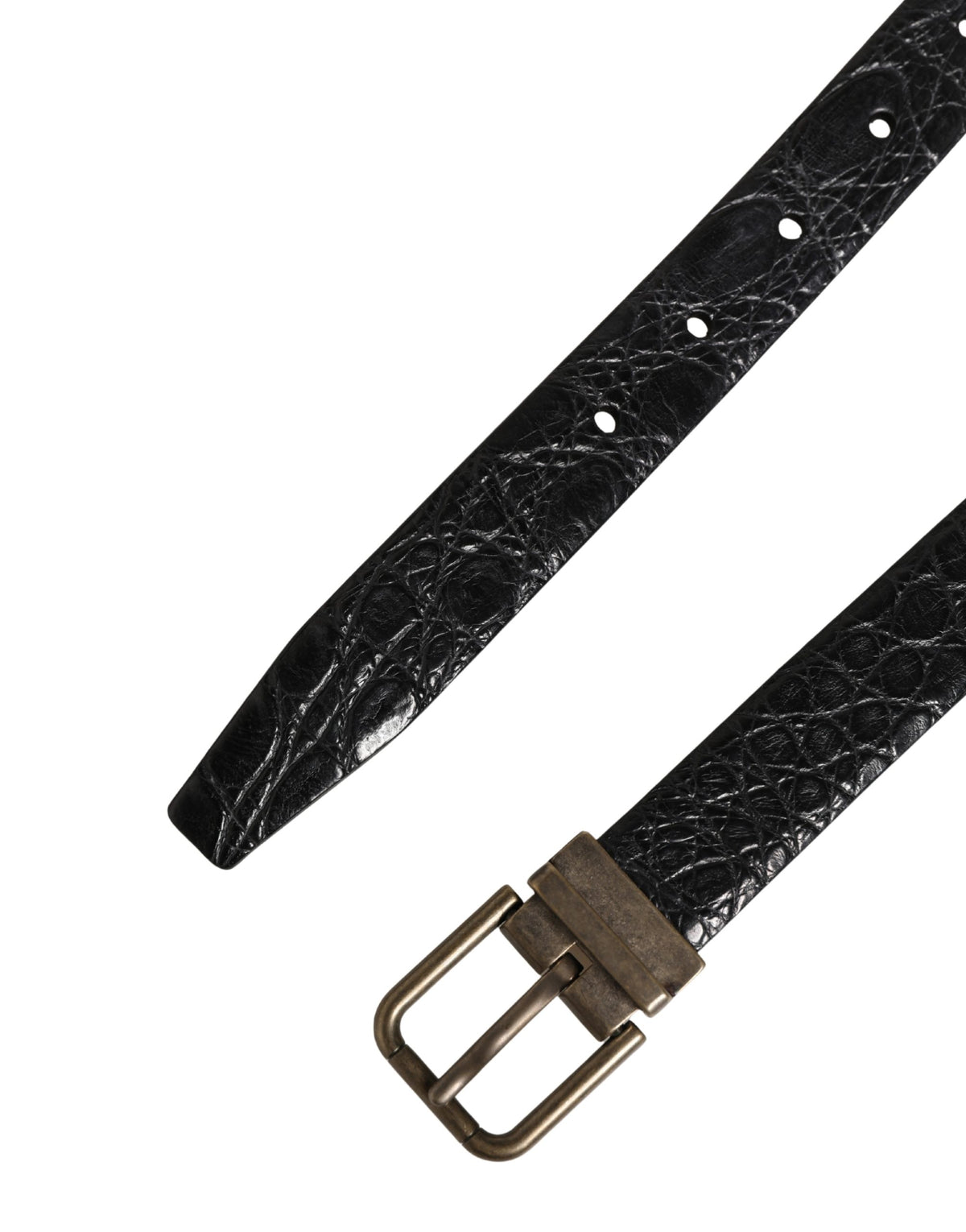 Dolce & Gabbana Men Black Exotic Leather Metal Buckle Men's Belt (Pre-Owned)
