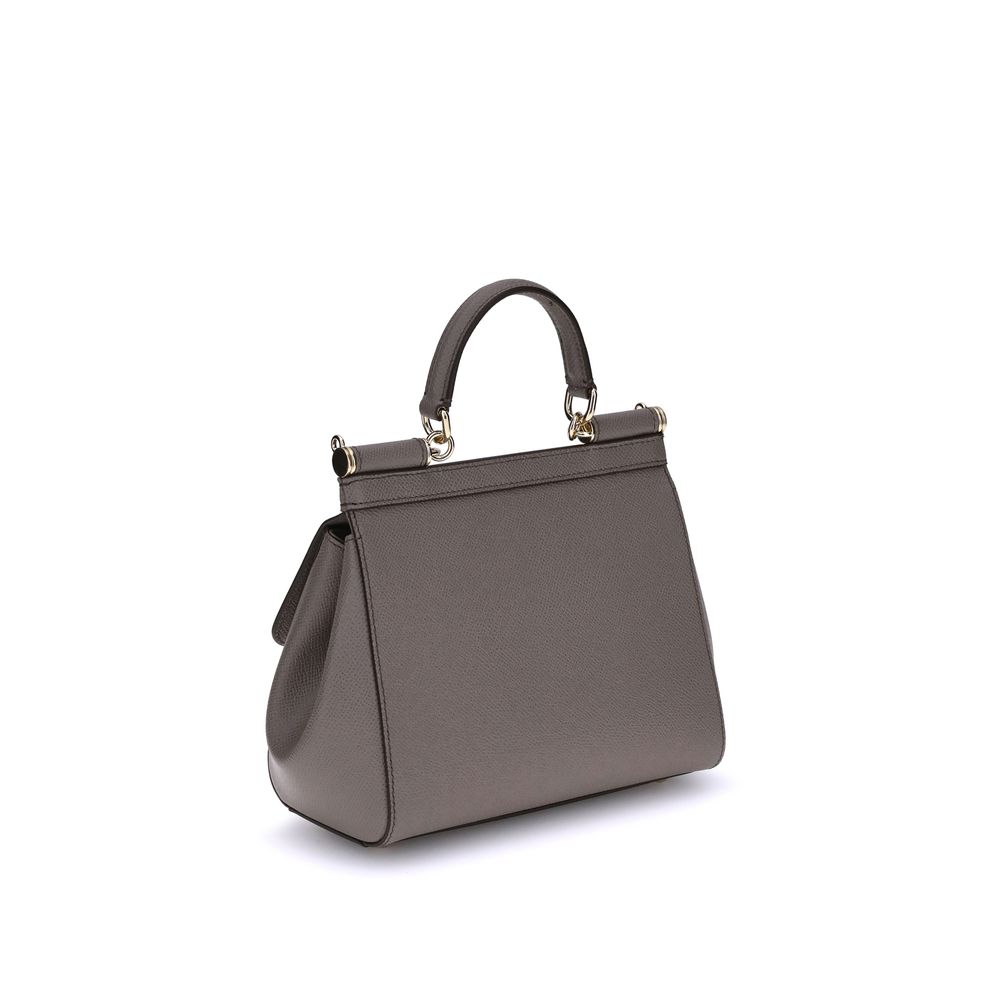 Dolce & Gabbana Gray Calf Leather Bos Taurus Shoulder Women's Bag