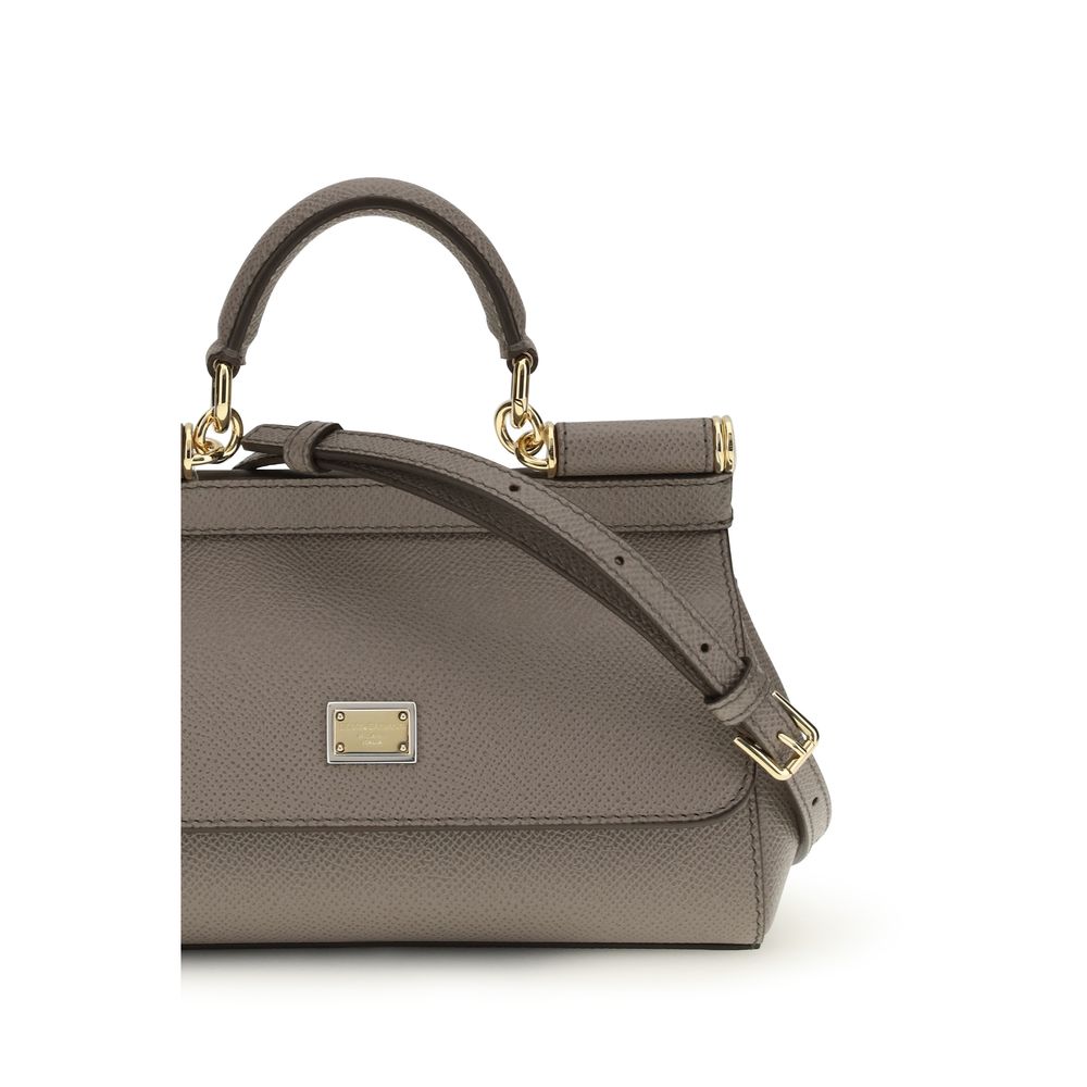 Dolce & Gabbana Gray Calf Leather Bos Taurus Women's Handbag