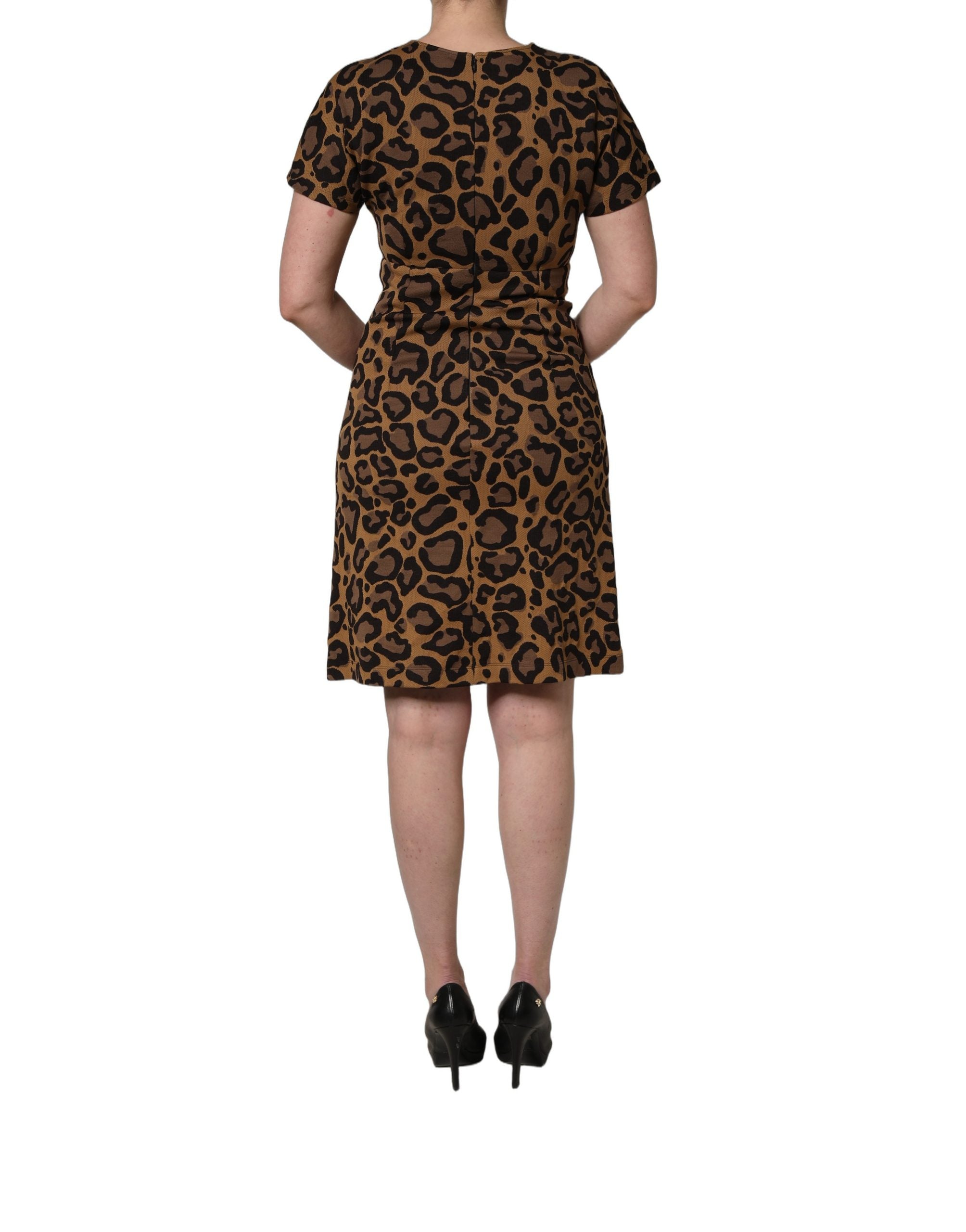 Dolce & Gabbana Brown Leopard Jacquard Knee Length Women's Dress