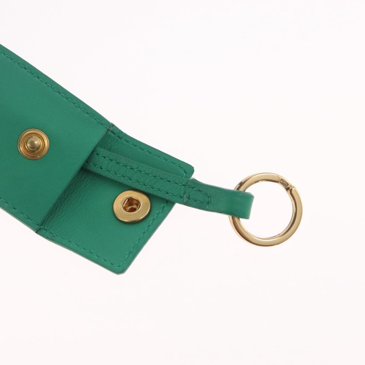 Saint Laurent Classic Y Cabas Leather Green Leather Tote Bag Bag (Pre-Owned)
