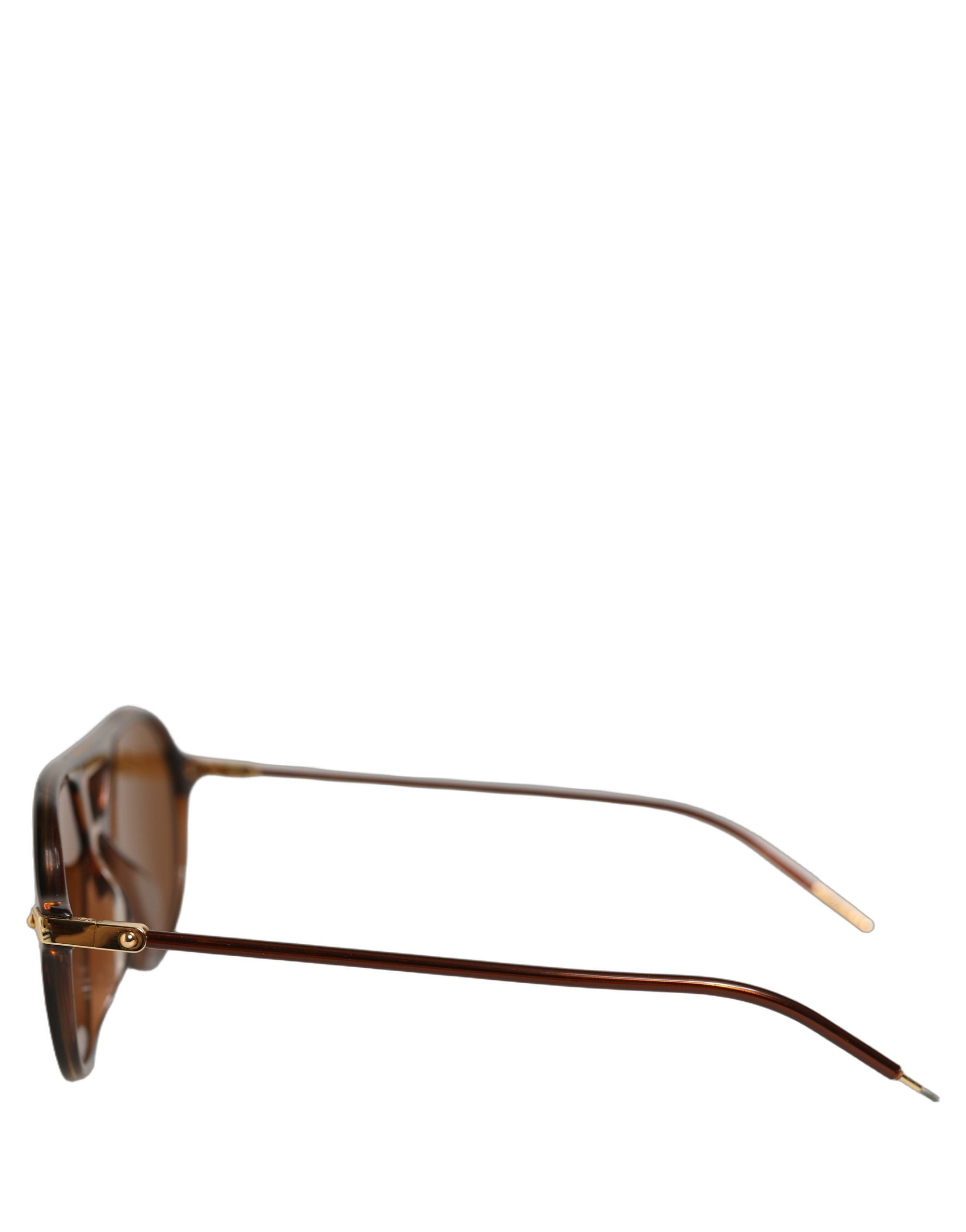 Dolce & Gabbana Brown DG4343F Havana Tortoise Women Eyewear Women's Sunglasses