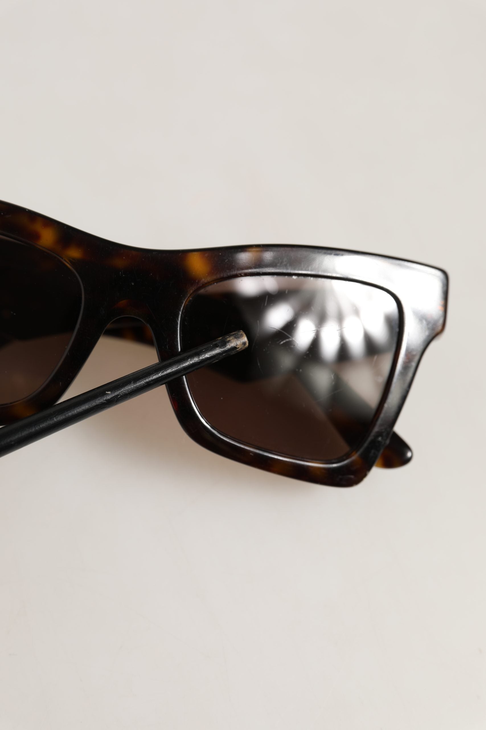 Dolce & Gabbana Brown DG4434 Accent Havana Acetate Frame Women's Sunglasses