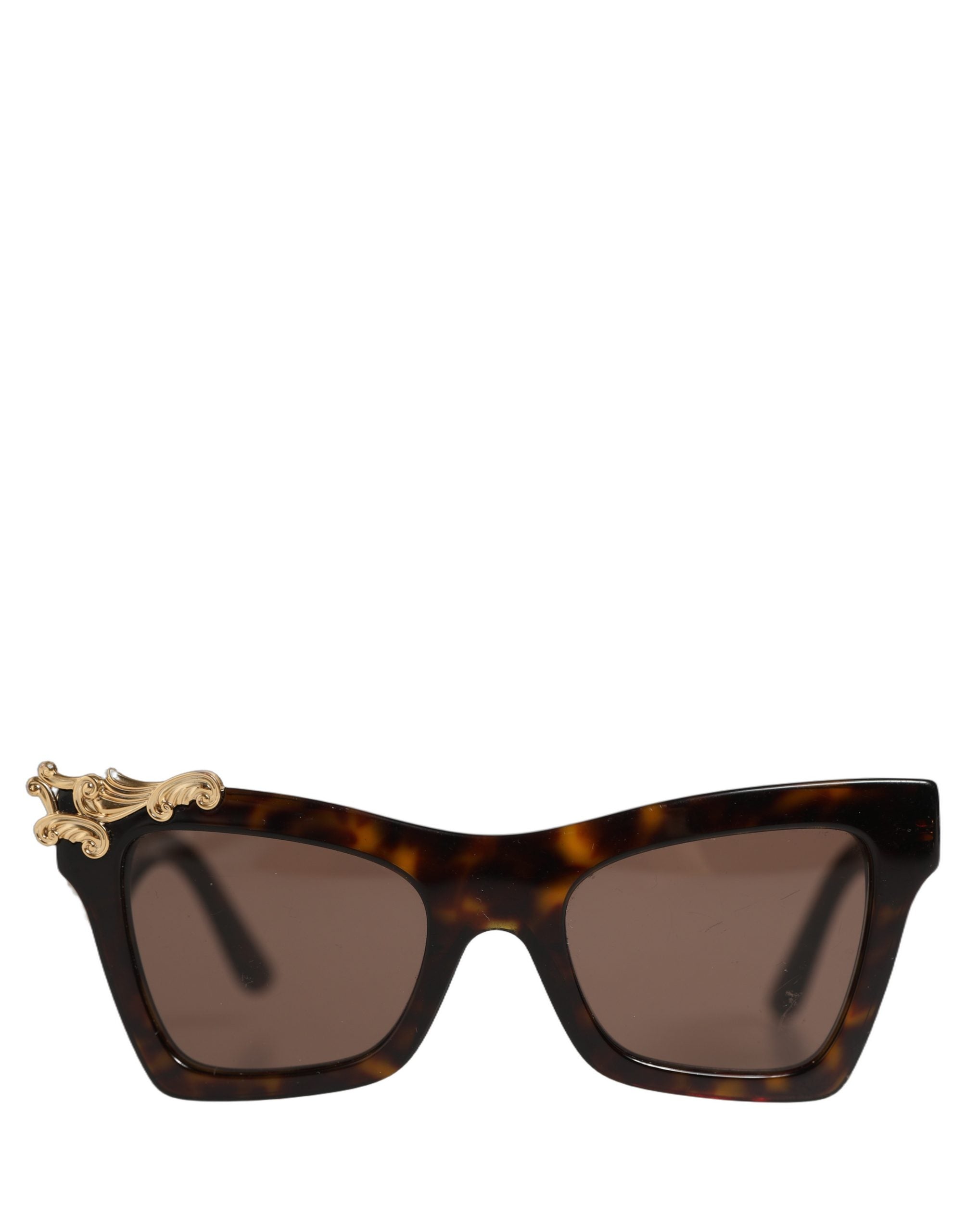 Dolce & Gabbana Brown DG4434 Accent Havana Acetate Frame Women's Sunglasses