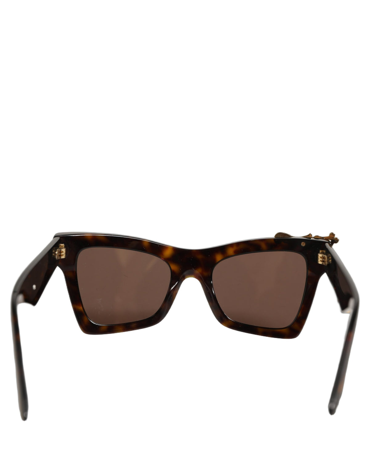Dolce & Gabbana Brown DG4434 Accent Havana Acetate Frame Women's Sunglasses