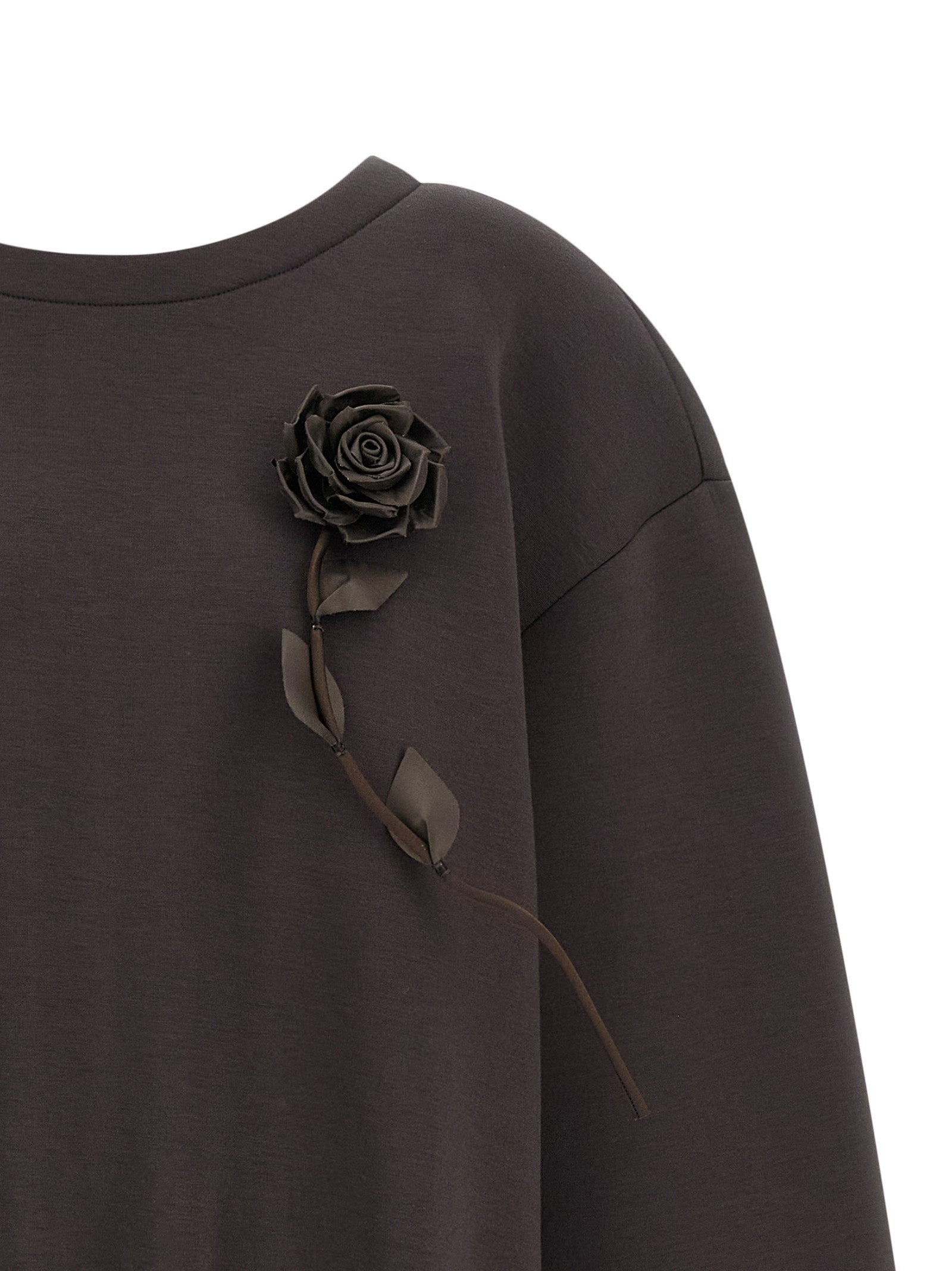 Giuseppe Di Morabito Brown Viscose Women's Sweatshirt