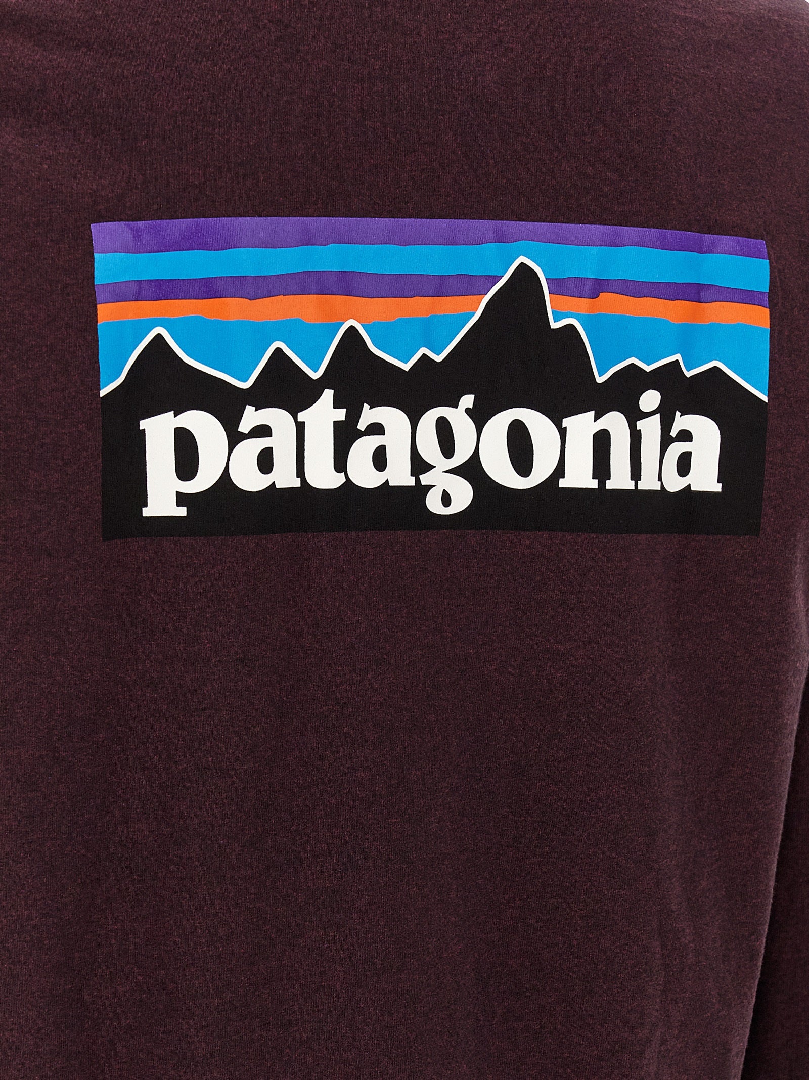 PATAGONIA Bordeaux Cotton Men's T-Shirt