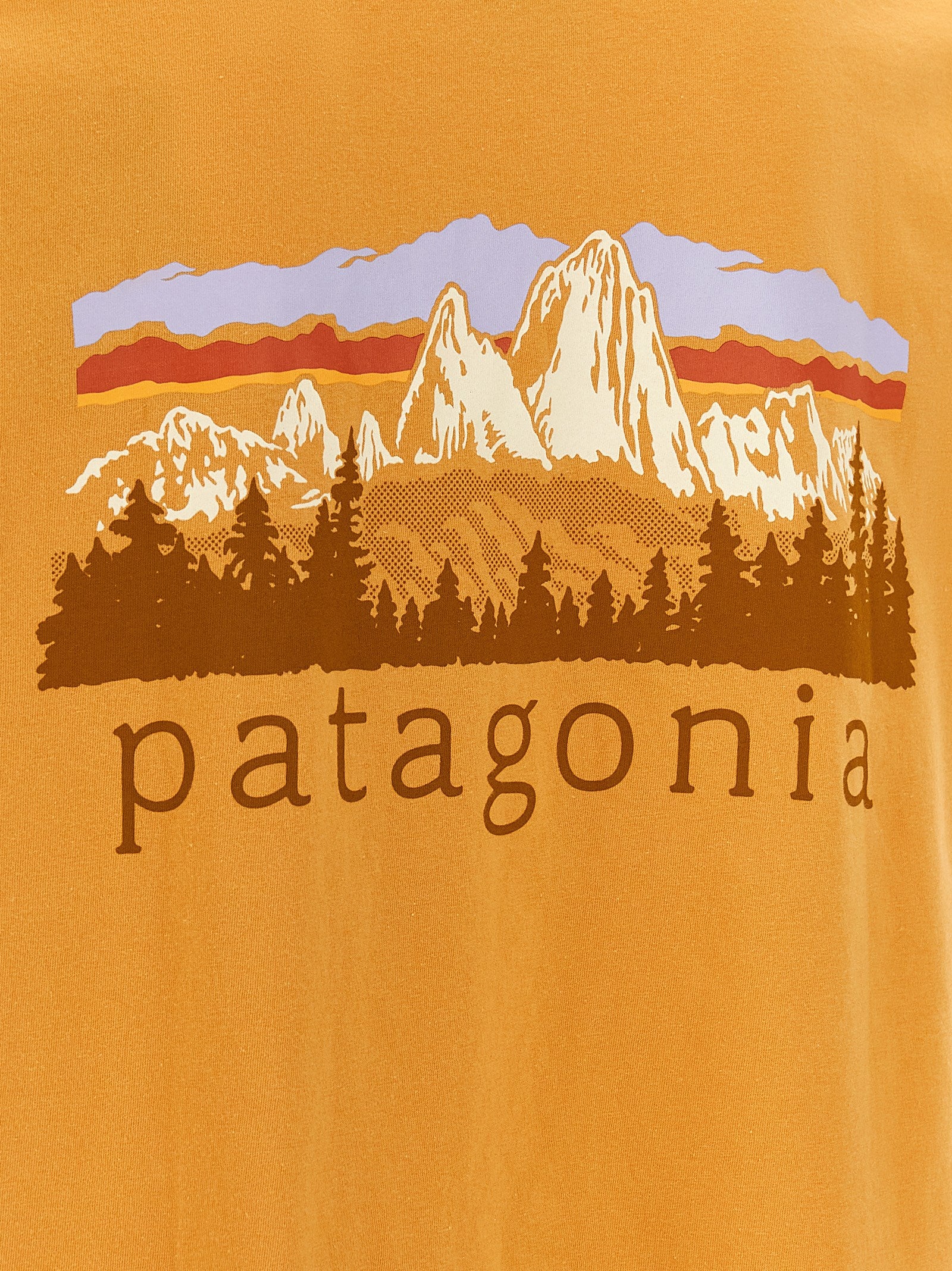 PATAGONIA Orange Cotton Men's T-Shirt