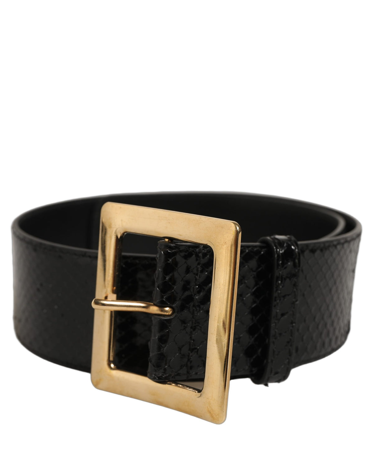 Dolce & Gabbana Black Exotic Leather Gold Metal Buckle Women's Belt (Pre-Owned)