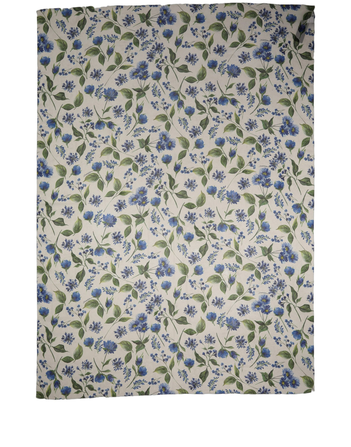 Dolce & Gabbana White Blue Floral Polyester Stole Women's Scarf