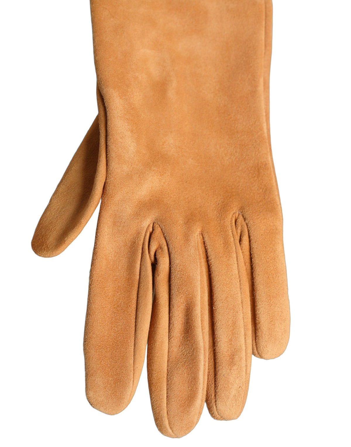 Dolce & Gabbana Tan Genuine Leather Suede Elbow Length Women's Gloves
