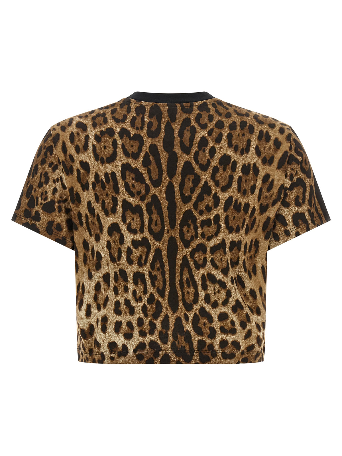 Dolce & Gabbana Brown Cotton Women's T-Shirt