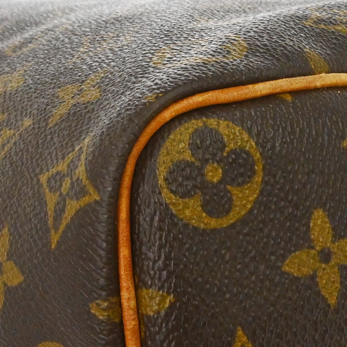 Louis Vuitton Speedy Monogram Canvas Brown Canvas Handbag (Pre-Owned)