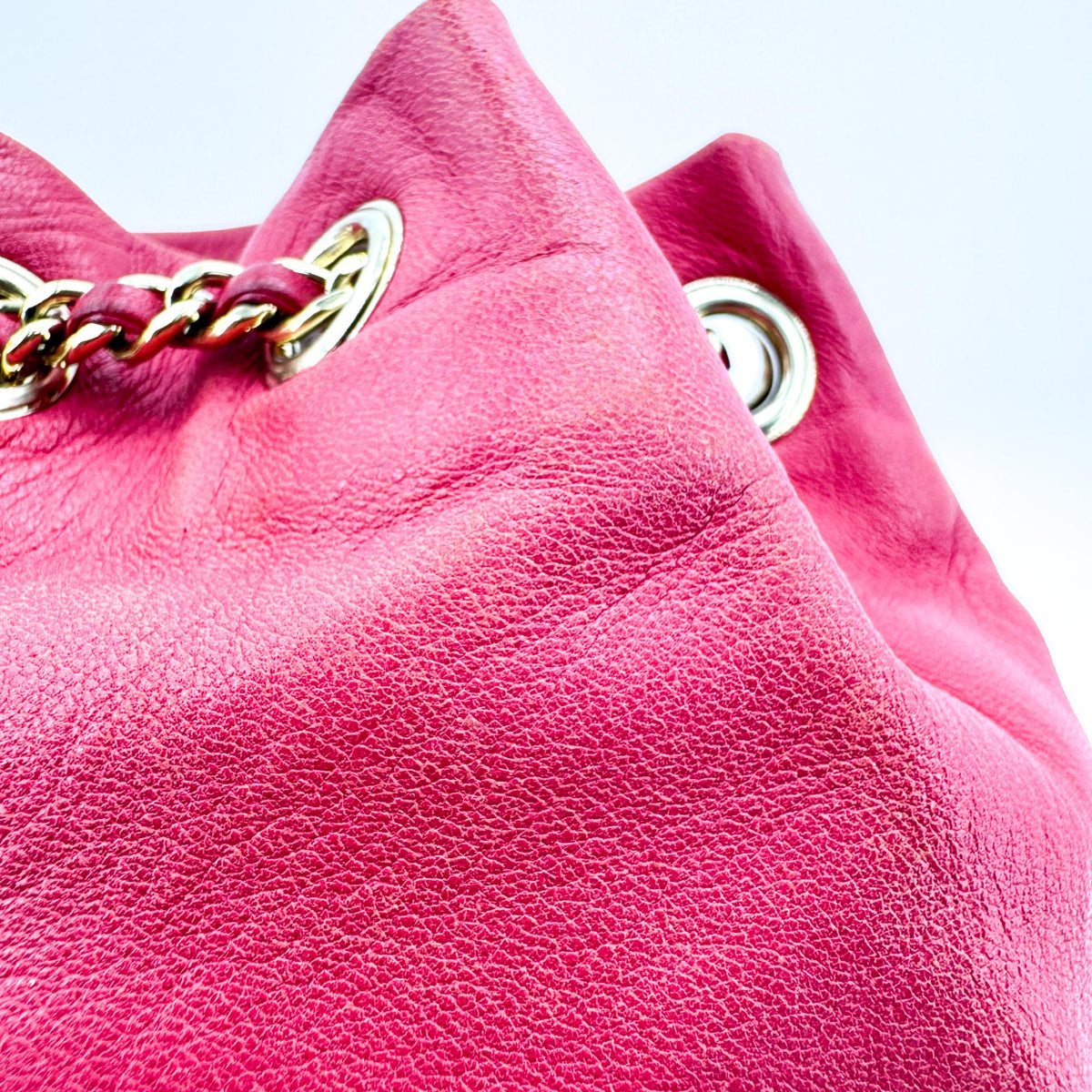 Chanel Backpack In Seoul Lambskin Pink Leather Backpack Bag (Pre-Owned)