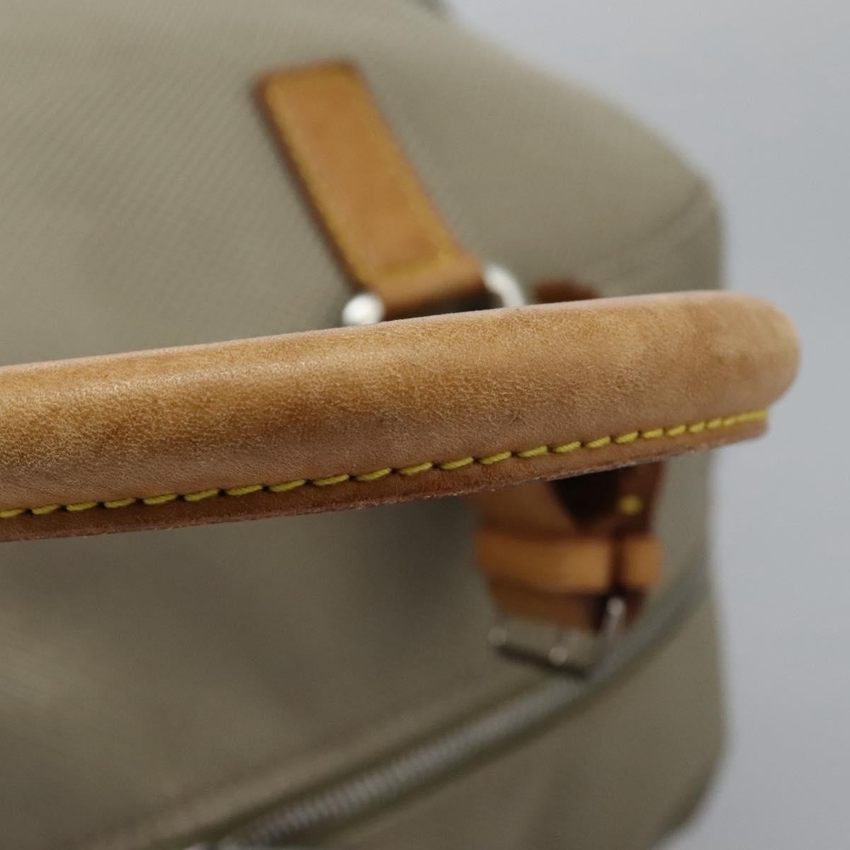 Louis Vuitton Aventurier Polaire Damier Geant Canvas Other Canvas Travel Bag Bag (Pre-Owned)