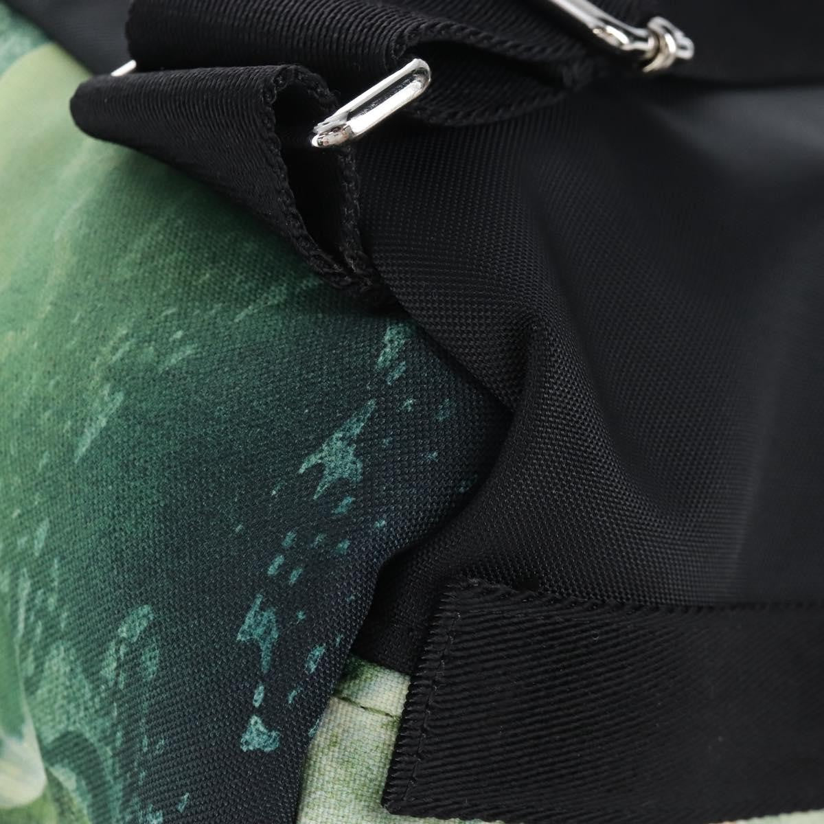 Valentino Garavani X Roger Dean Dragon Printed Nylon Green Nylon Backpack Bag (Pre-Owned)