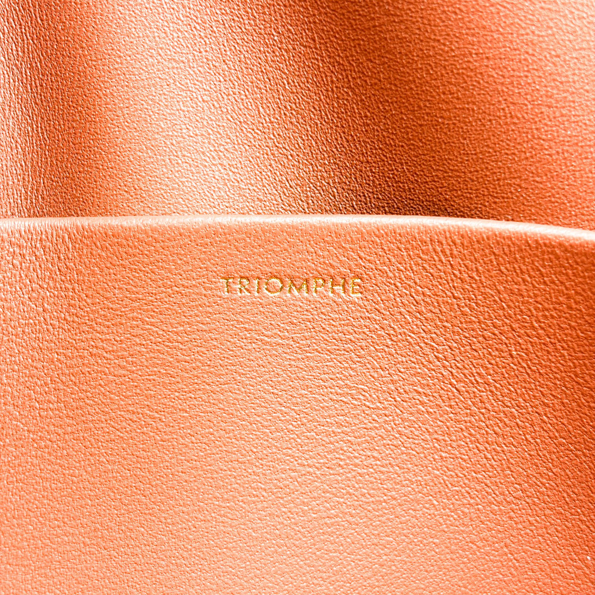 Celine Triomphe East-West Smooth Calfskin Brown Leather Shoulder Bag Bag (Pre-Owned)