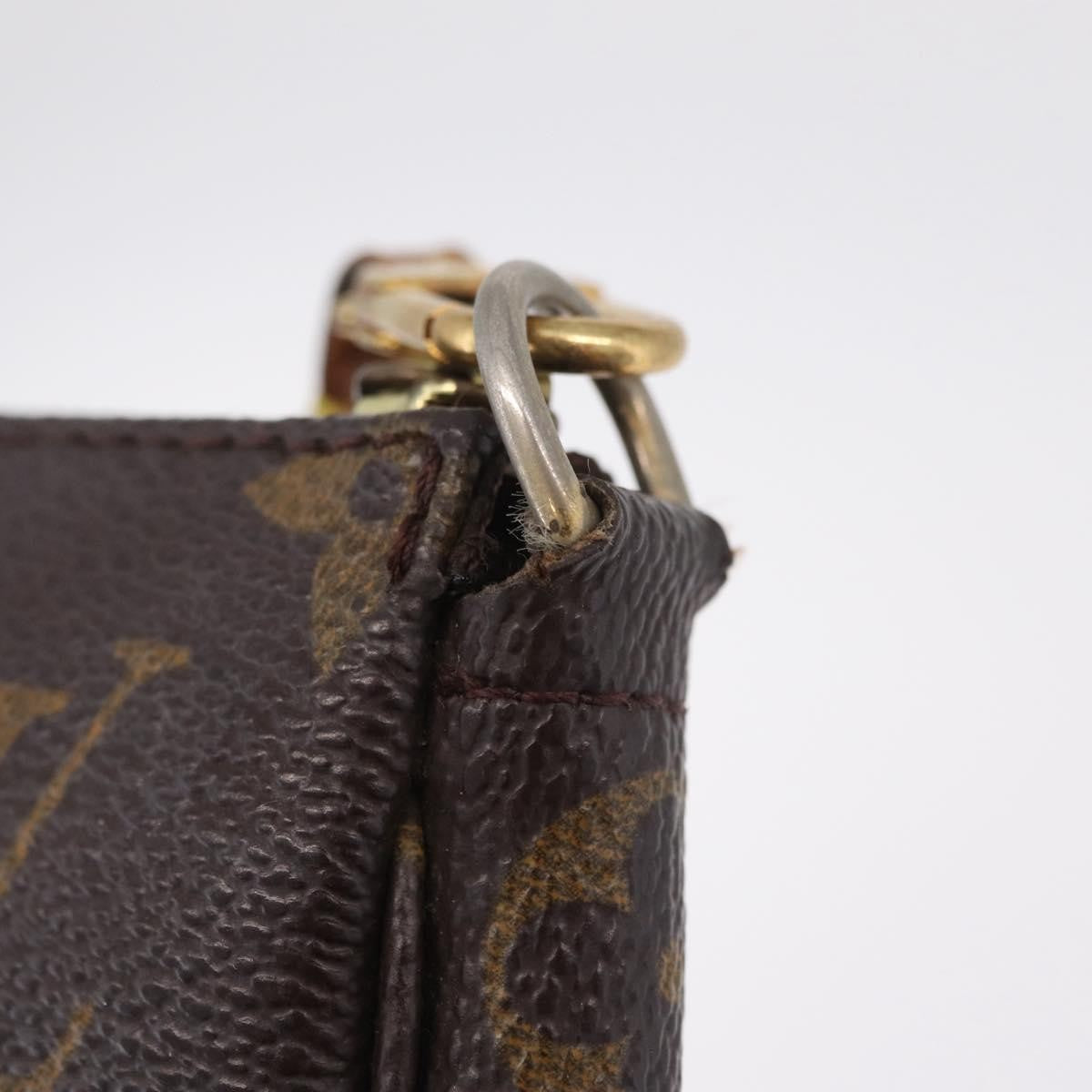 Louis Vuitton Pochette Accessoires Monogram Canvas Brown Canvas Clutche & Pouche Bag (Pre-Owned)