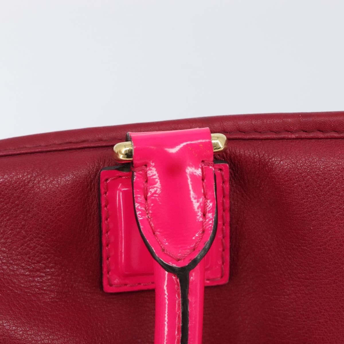 Loewe Amazona Leather Red Leather Handbag (Pre-Owned)