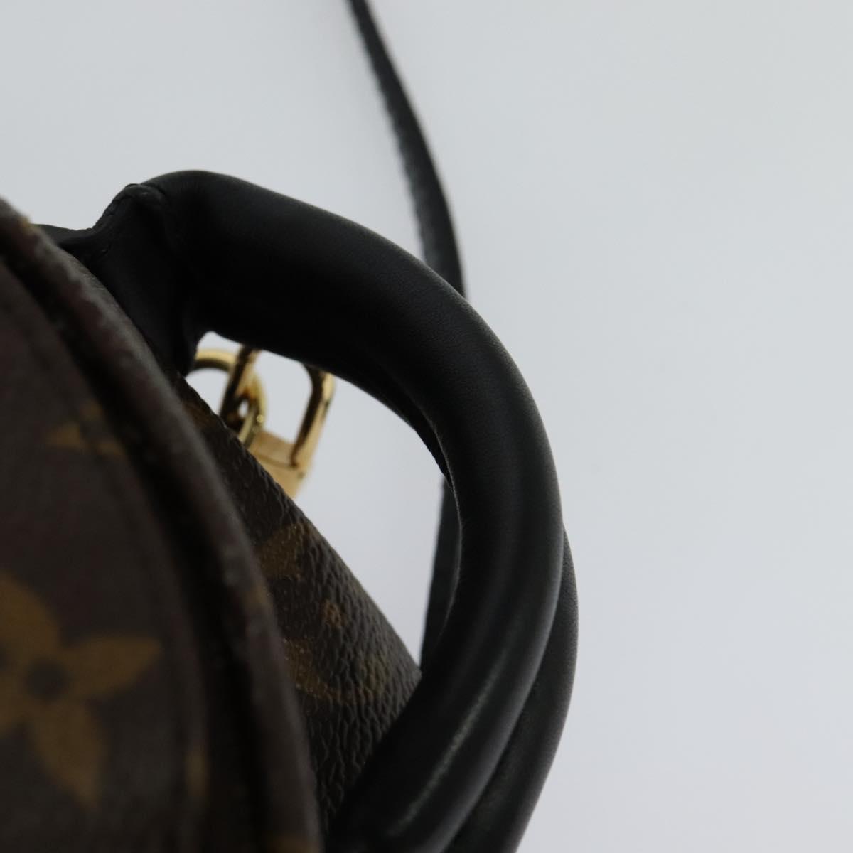 Louis Vuitton Palm Springs Monogram Canvas Brown Canvas Backpack Bag (Pre-Owned)